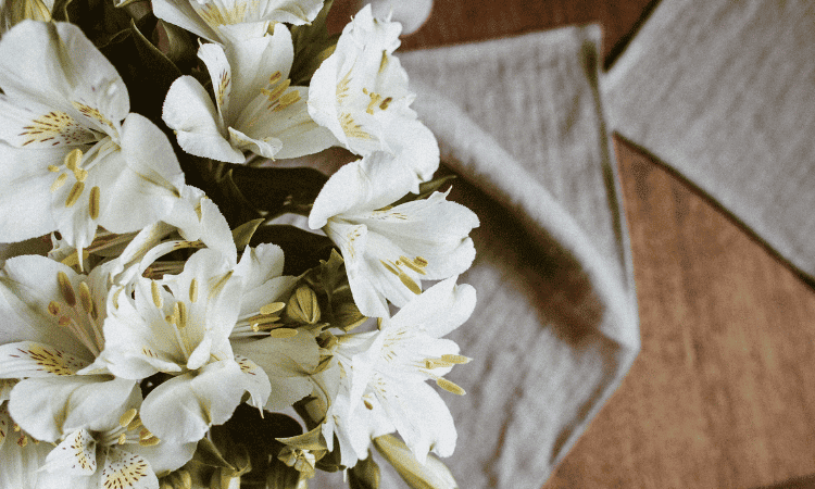 Alstroemerias blancas con los cuidados básicos para que duren más tiempo en verano en tu mesa