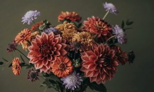 4 flores que llevar a tu mesa este otoño